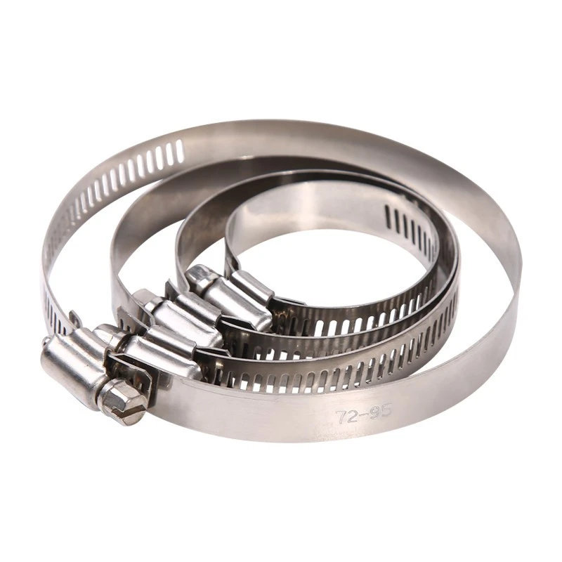 stainless steel clips clamps 1 stainless steel clips clamps 1
