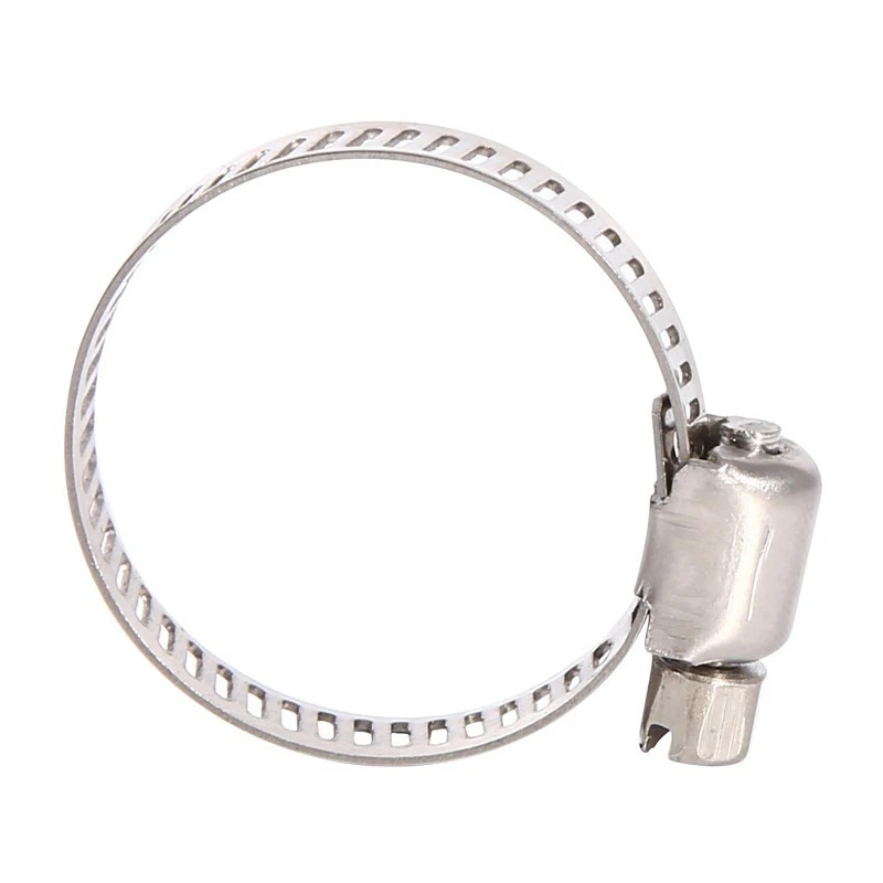 stainless steel clips clamps (4)